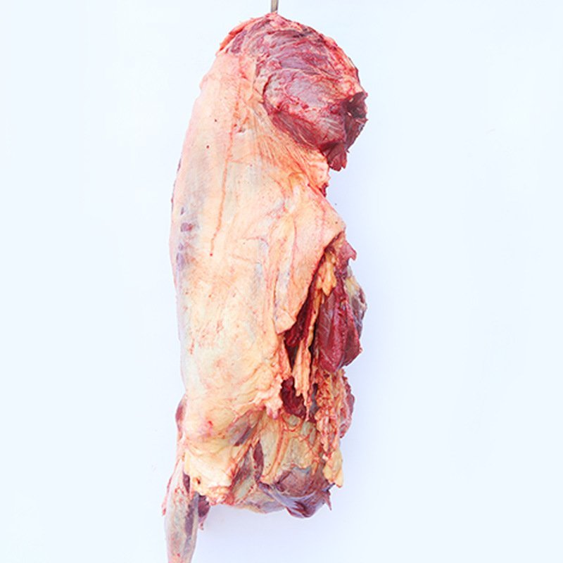 驴肉