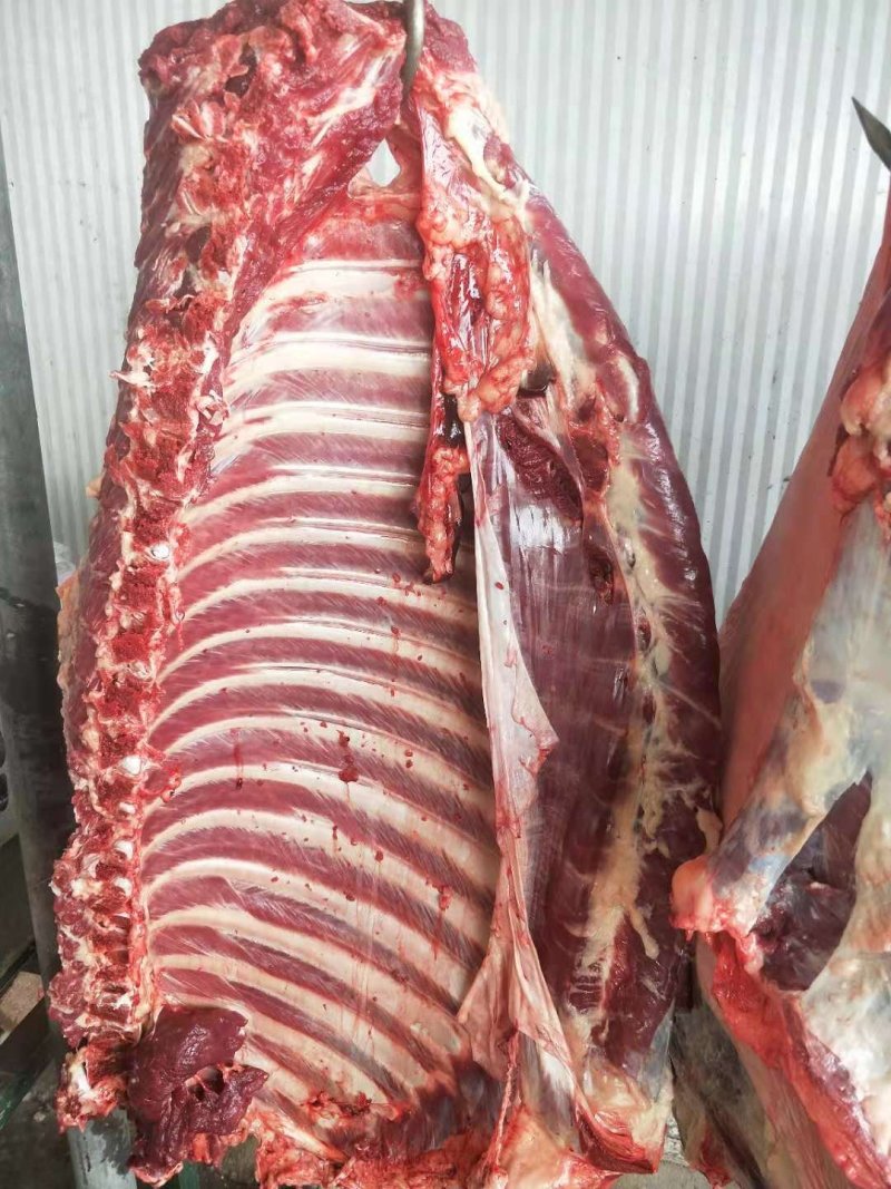 驴肉