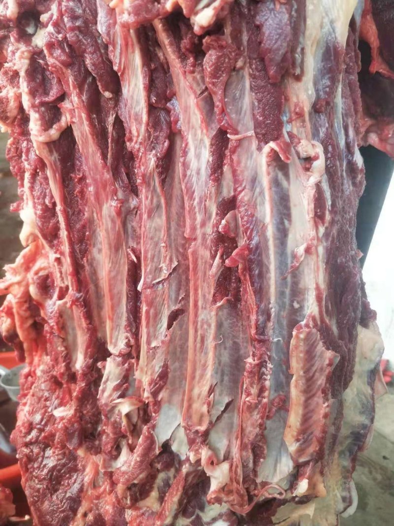 驴肉