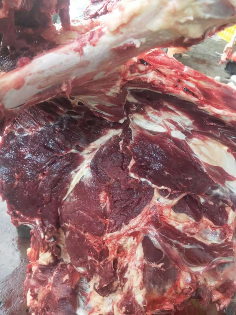 驴肉