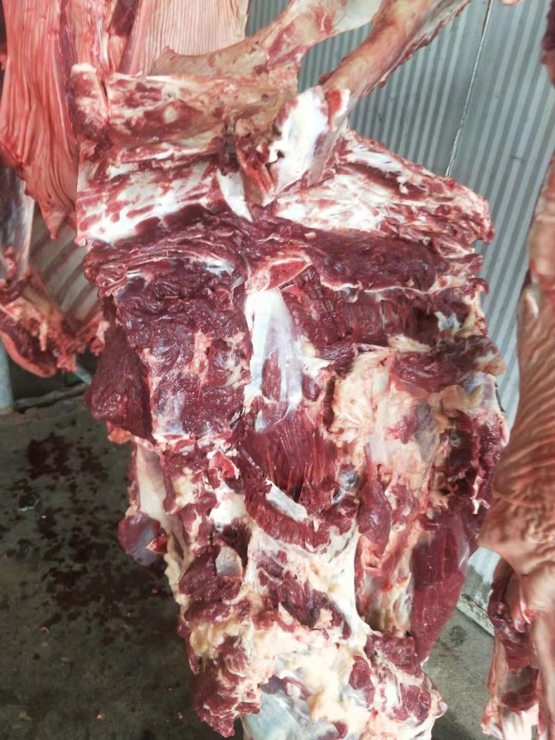 驴肉
