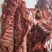驴肉