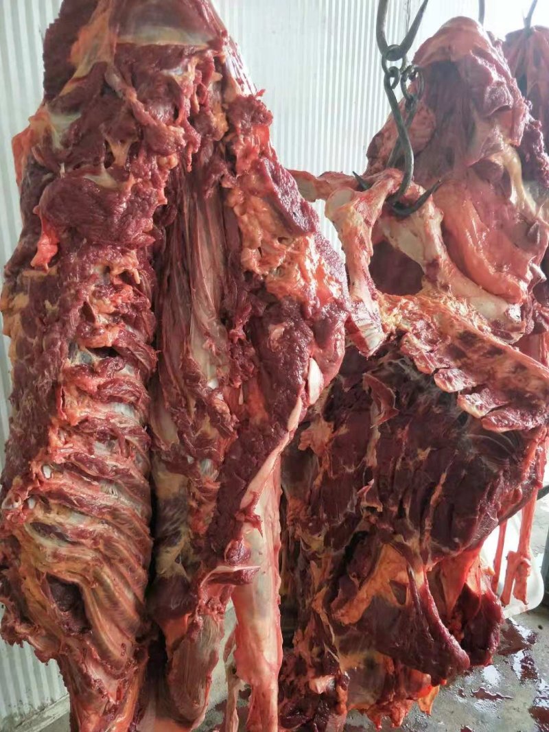 驴肉