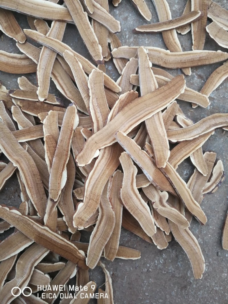 灵芝切片灵芝茶产地销售