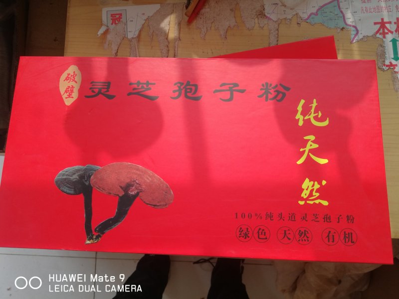 灵芝切片灵芝茶产地销售