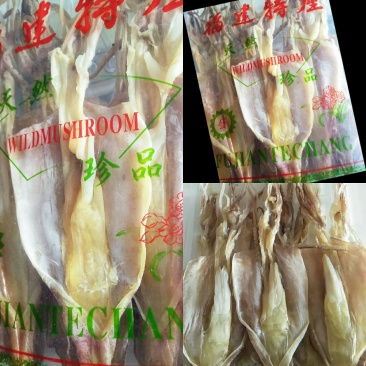 鱿鱼母