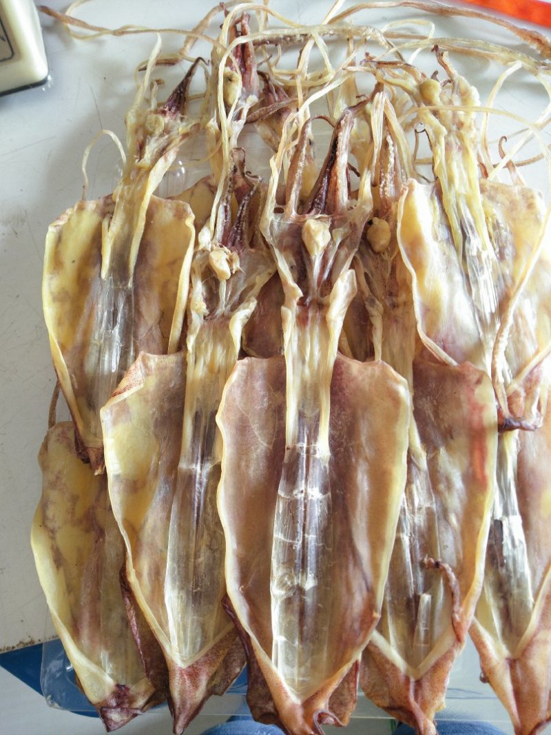 中鱿鱼干