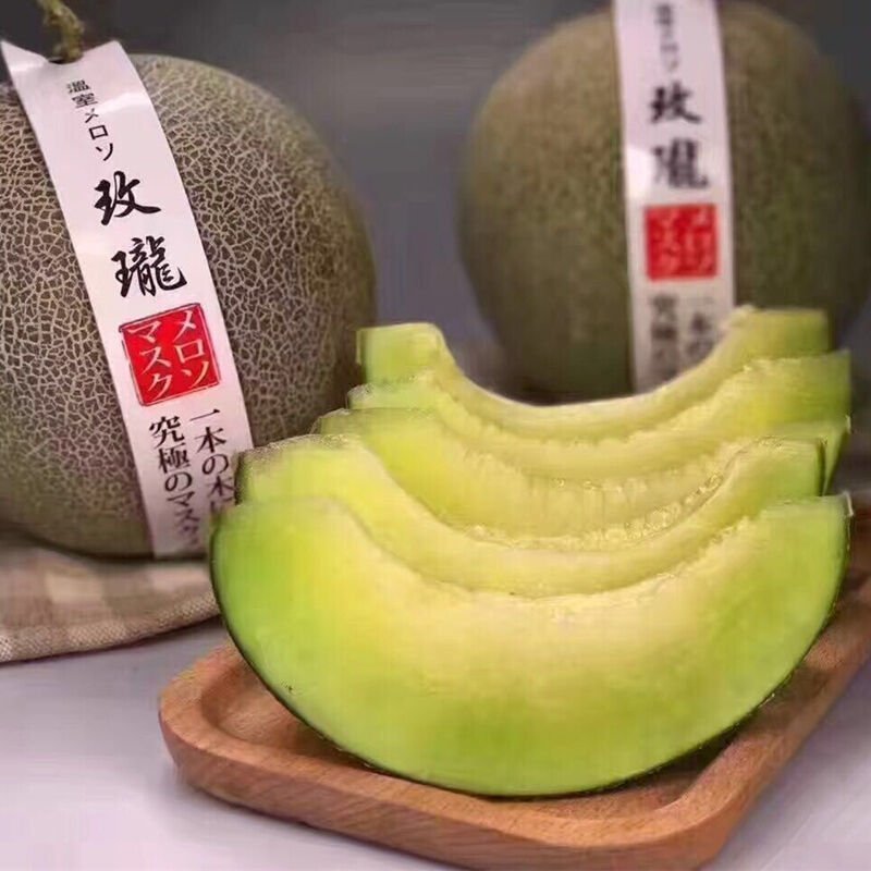 网纹瓜