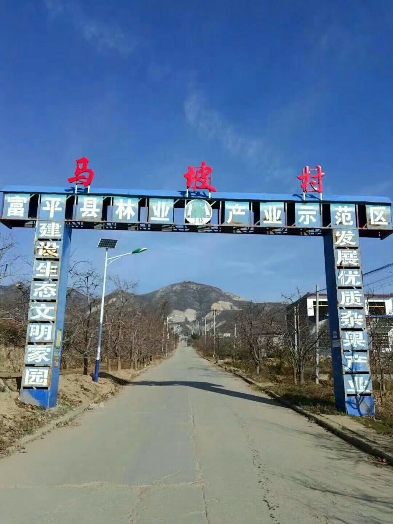柿饼
