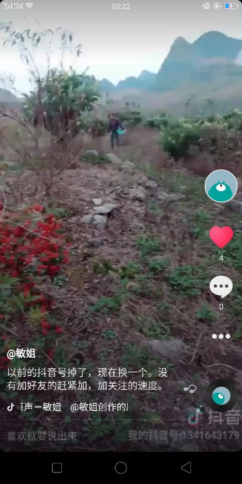 野生火棘果