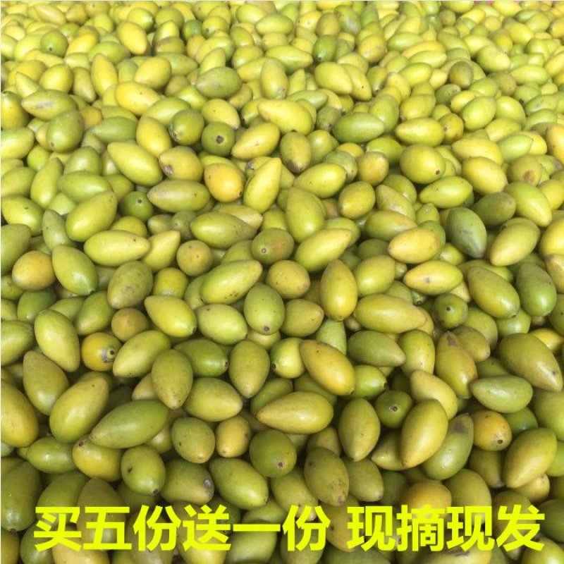 潮汕特产九制橄榄果涼果蜜饯黄橄榄甜金橄榄果