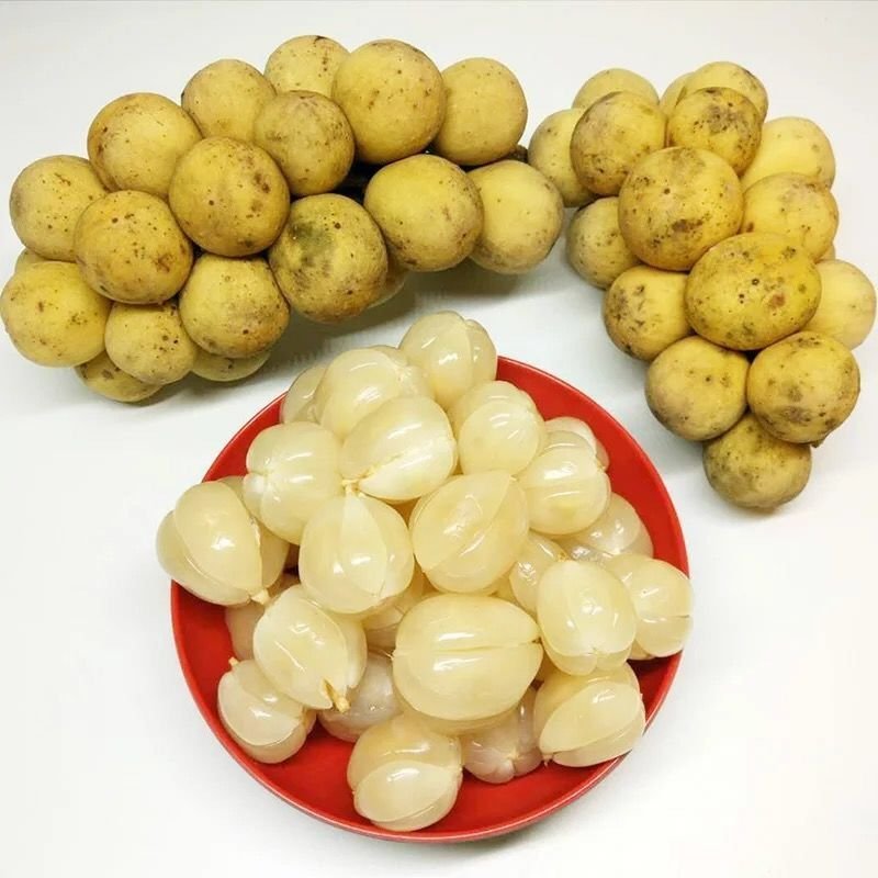 龙宫果
