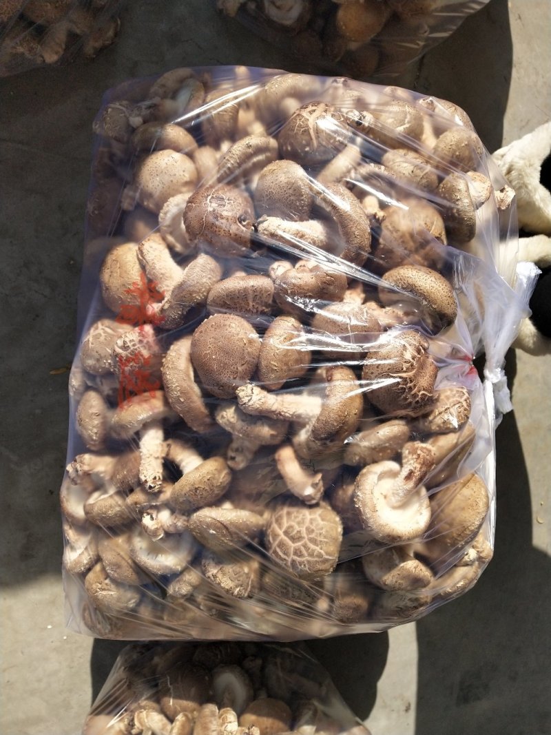 花菇，白菇，通货
