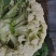 白面青梗松花菜上市了