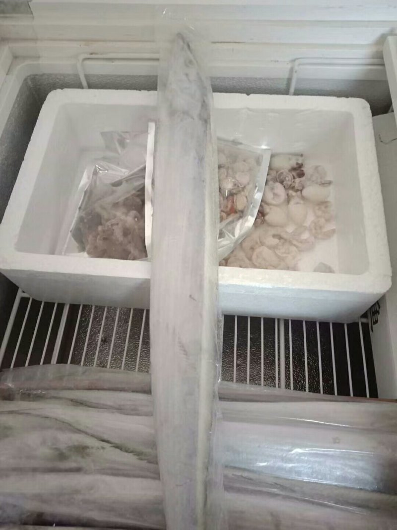 带鱼