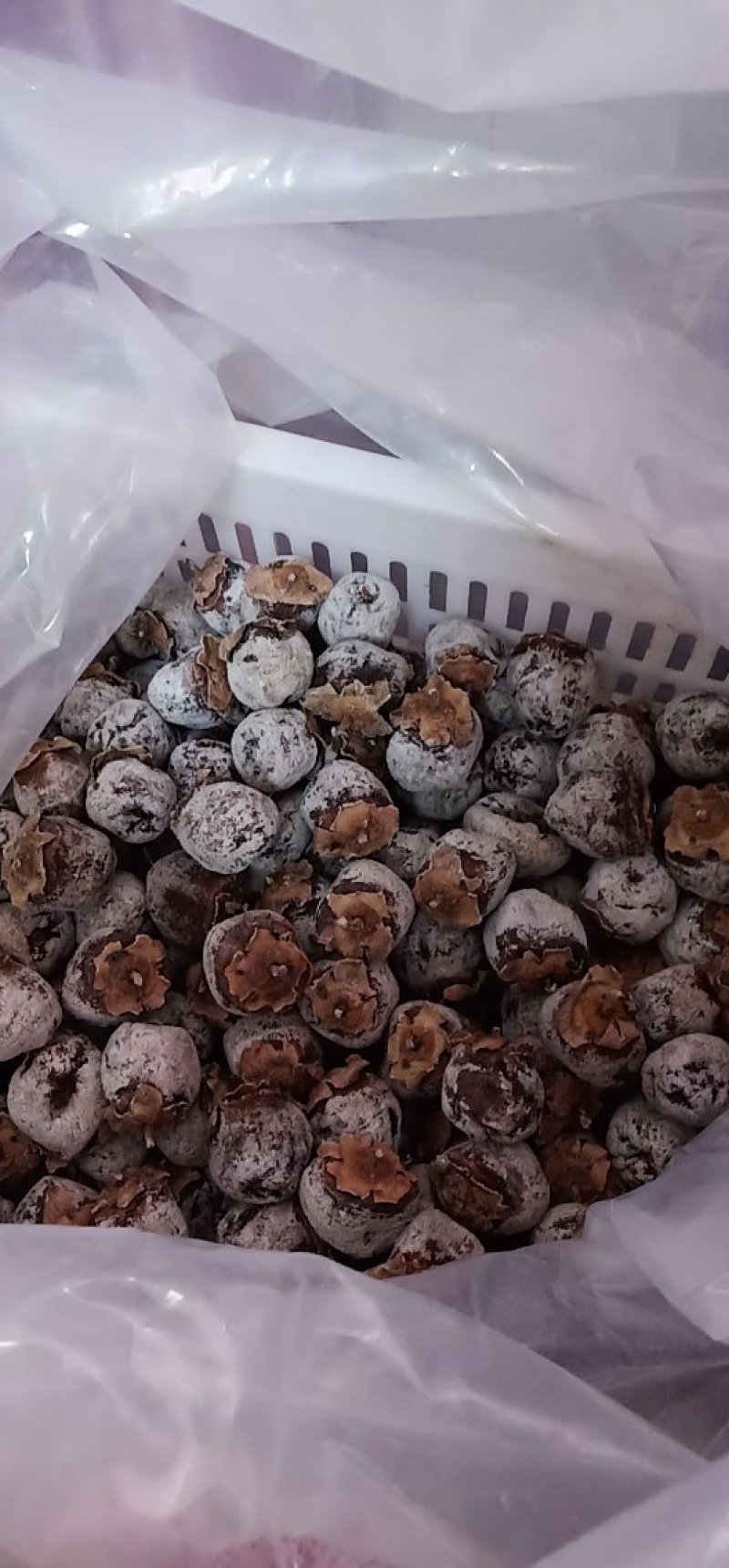老树柿饼