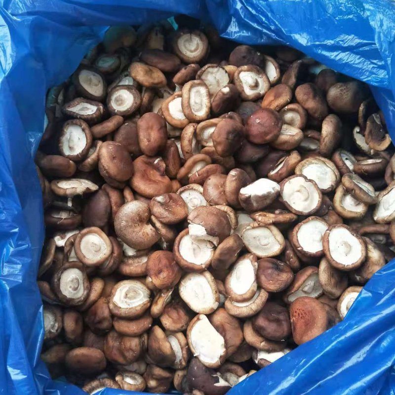 鲜香菇3.5-6厘米，无腿，不开伞干净卫生，值得购买