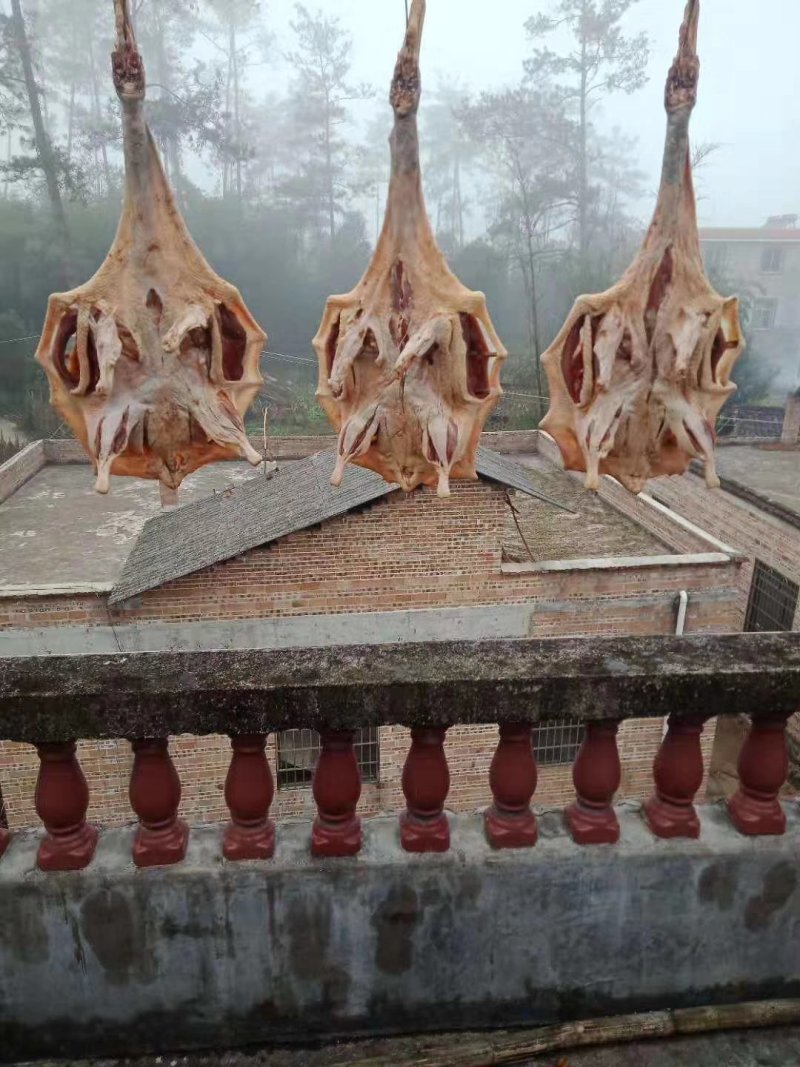 腊鸭