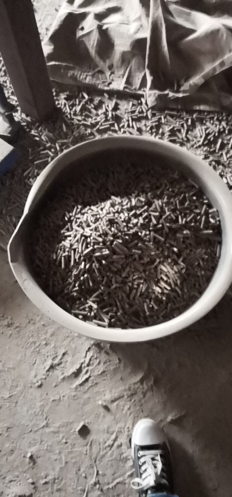 生物颗粒