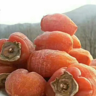 果脯