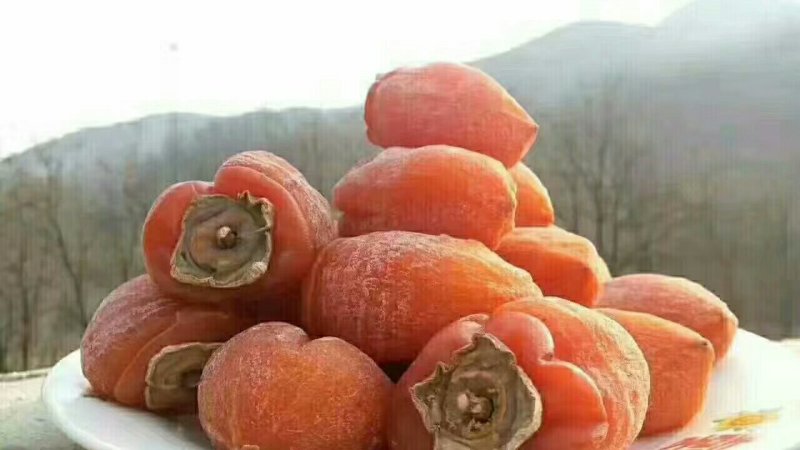 果脯