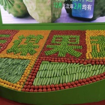 云南元谋青枣，专业青枣11年，招代理