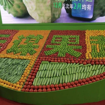 云南元谋青枣，专业青枣11年，招代理