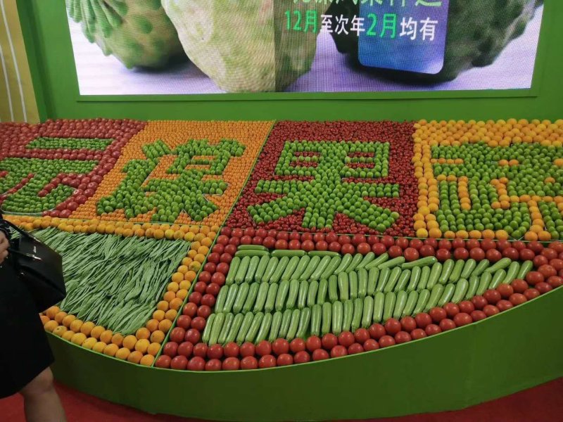 云南元谋青枣，专业青枣11年，招代理