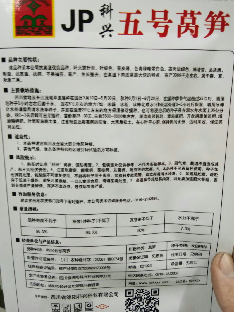 莴笋种子尖叶耐热（科兴五号）