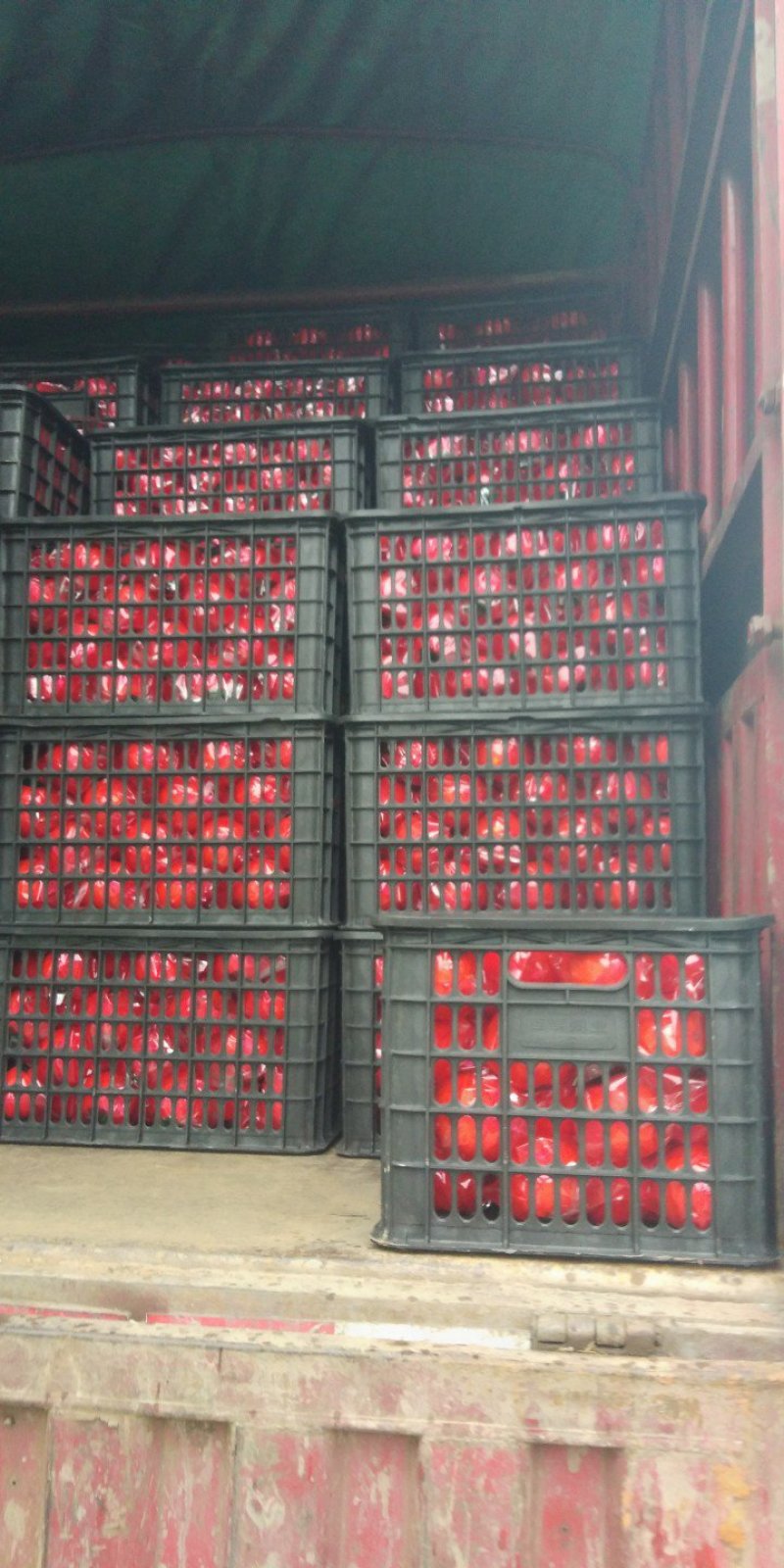 柑橘类，纽荷尔脐橙，表面光滑，