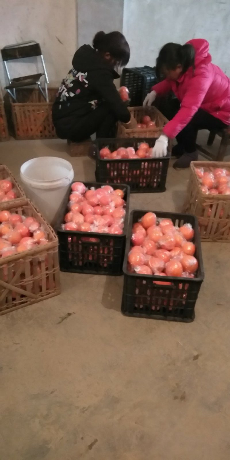 柑橘类，纽荷尔脐橙，表面光滑，