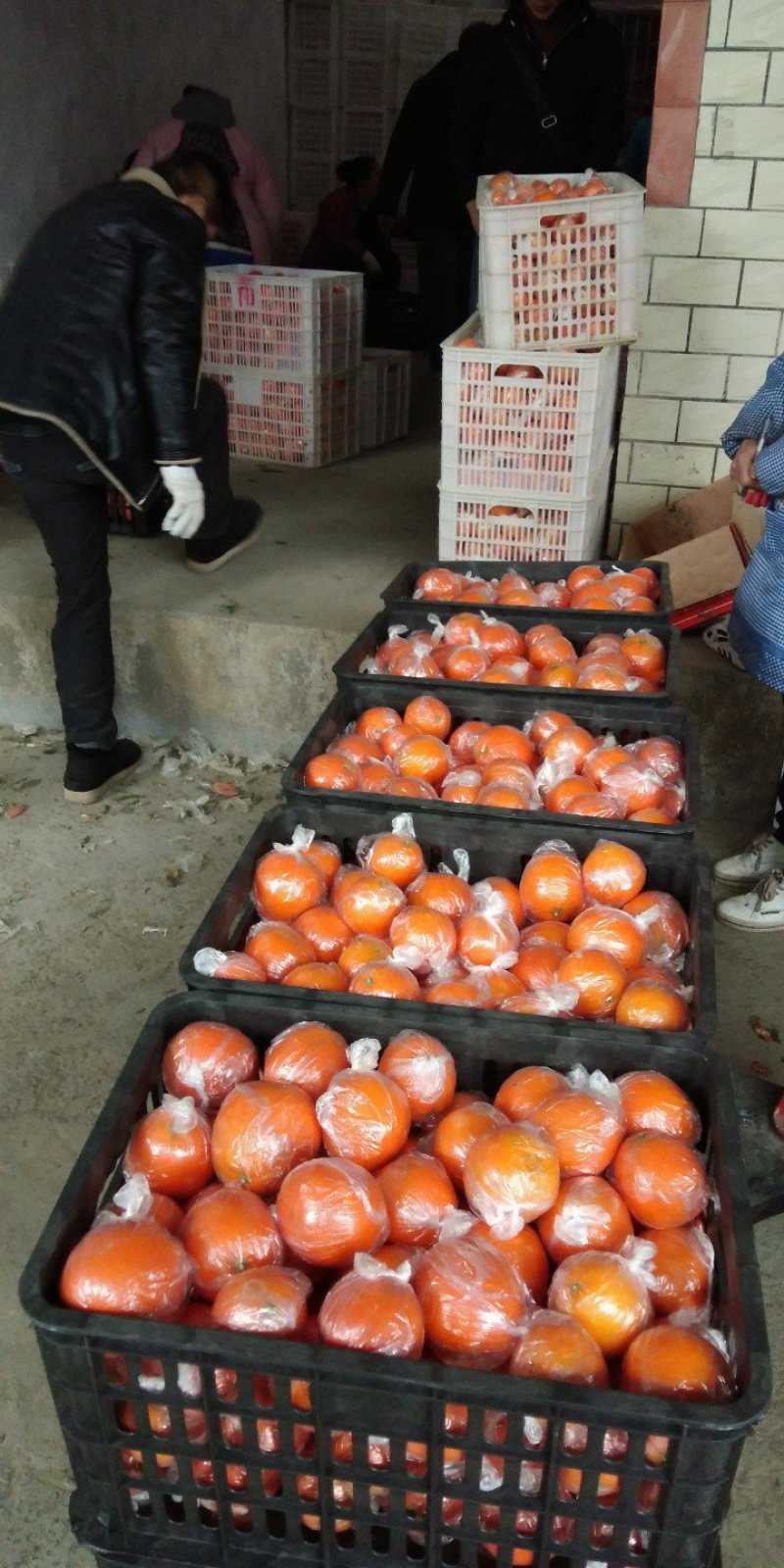 柑橘类，纽荷尔脐橙，表面光滑，