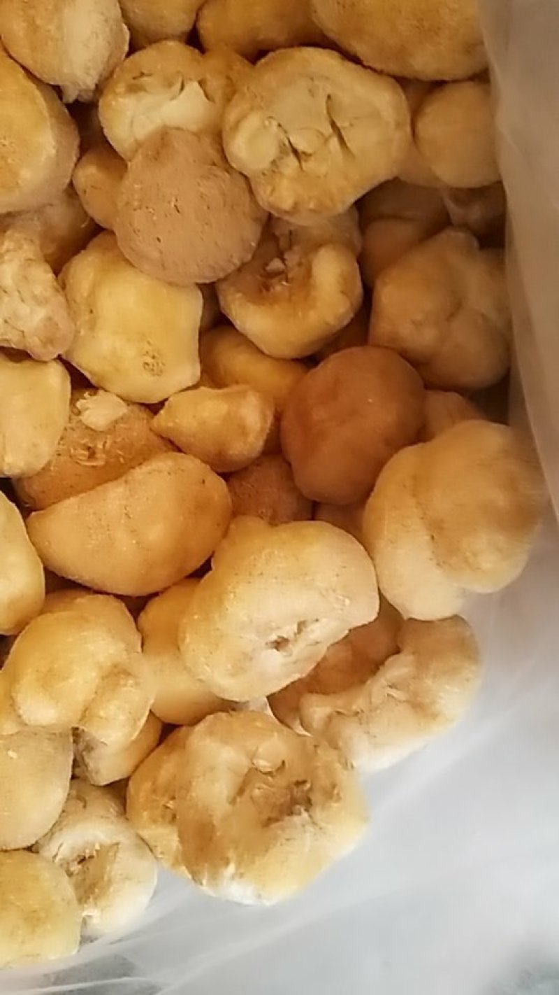 猴头菇，中药材猴头菇，猴头菇中药材