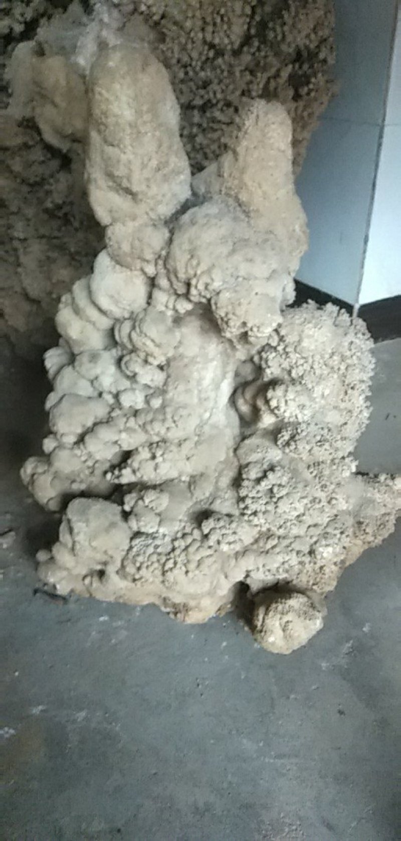 吸水石