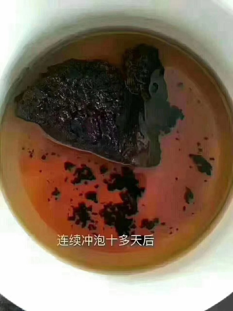 糖尿病克星，俄罗斯桦树茸。