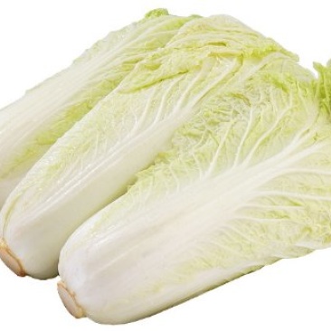 娃娃菜