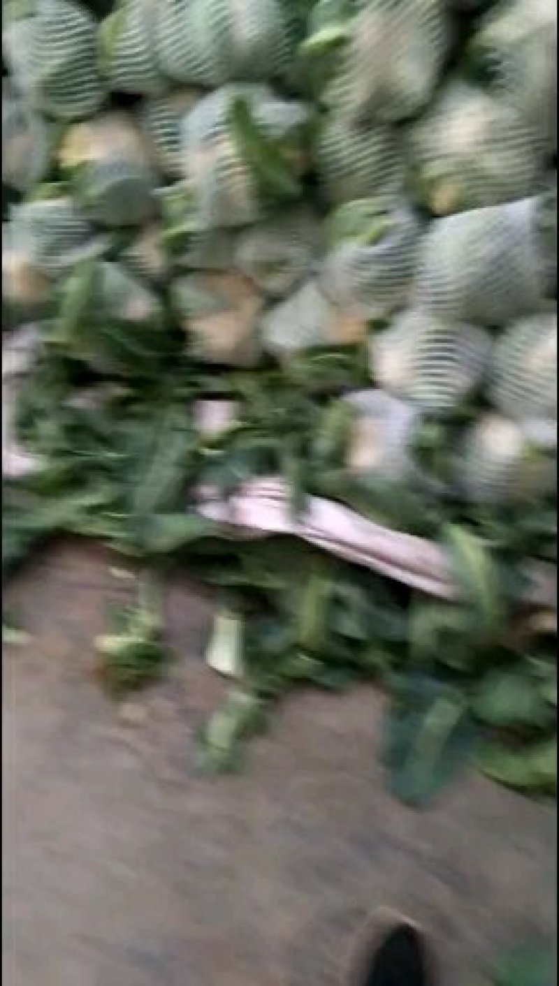 花菜