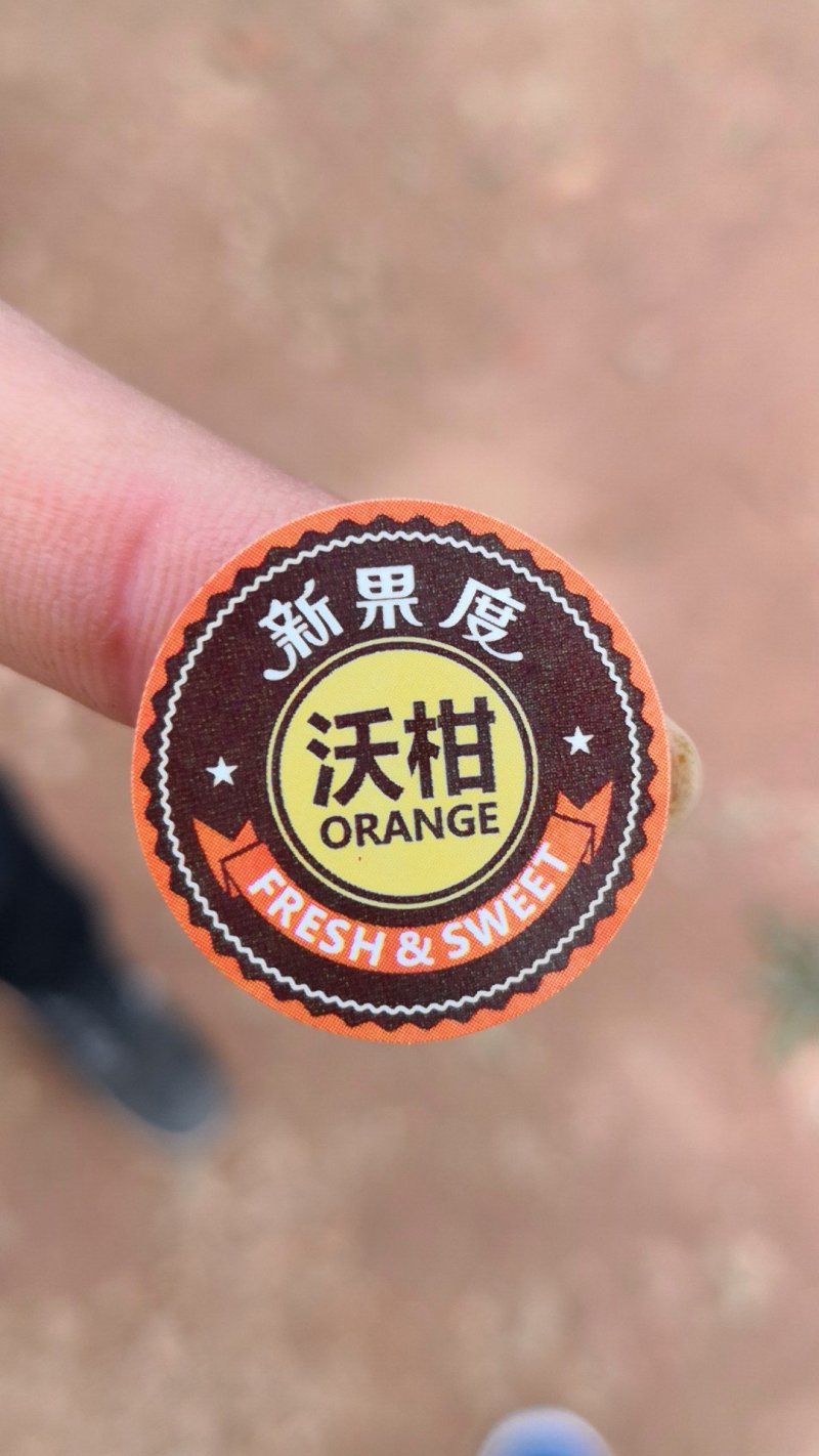 柑桔贴纸定制