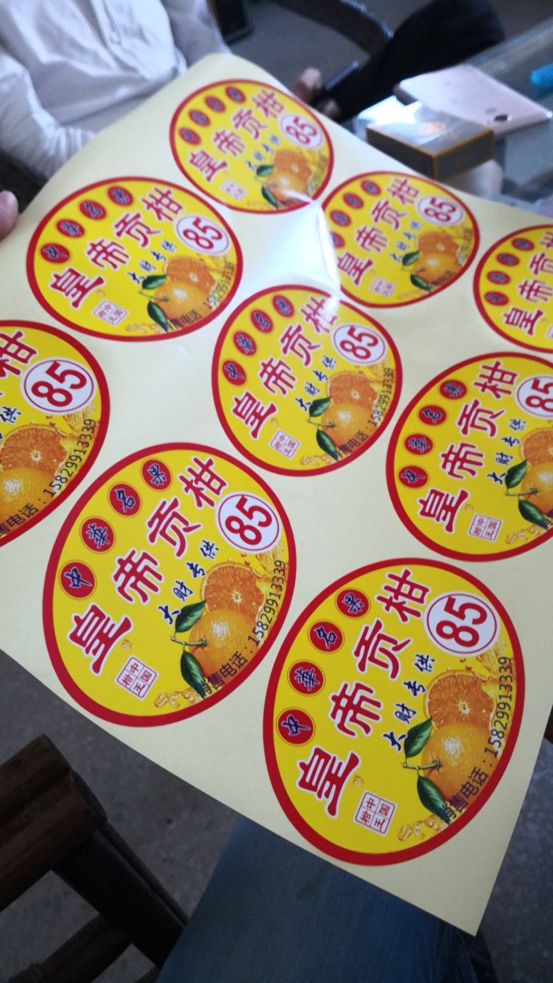 柑桔贴纸定制