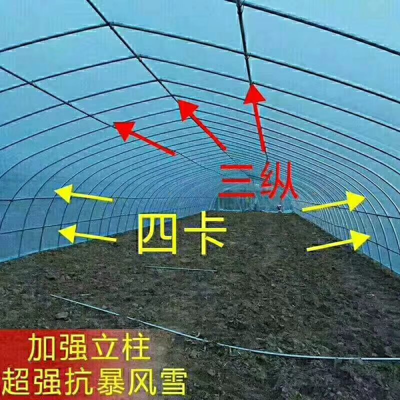 蔬菜大棚定做各种规格蔬菜大棚镀锌钢管冷棚钢管