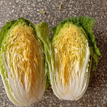 黄心菜