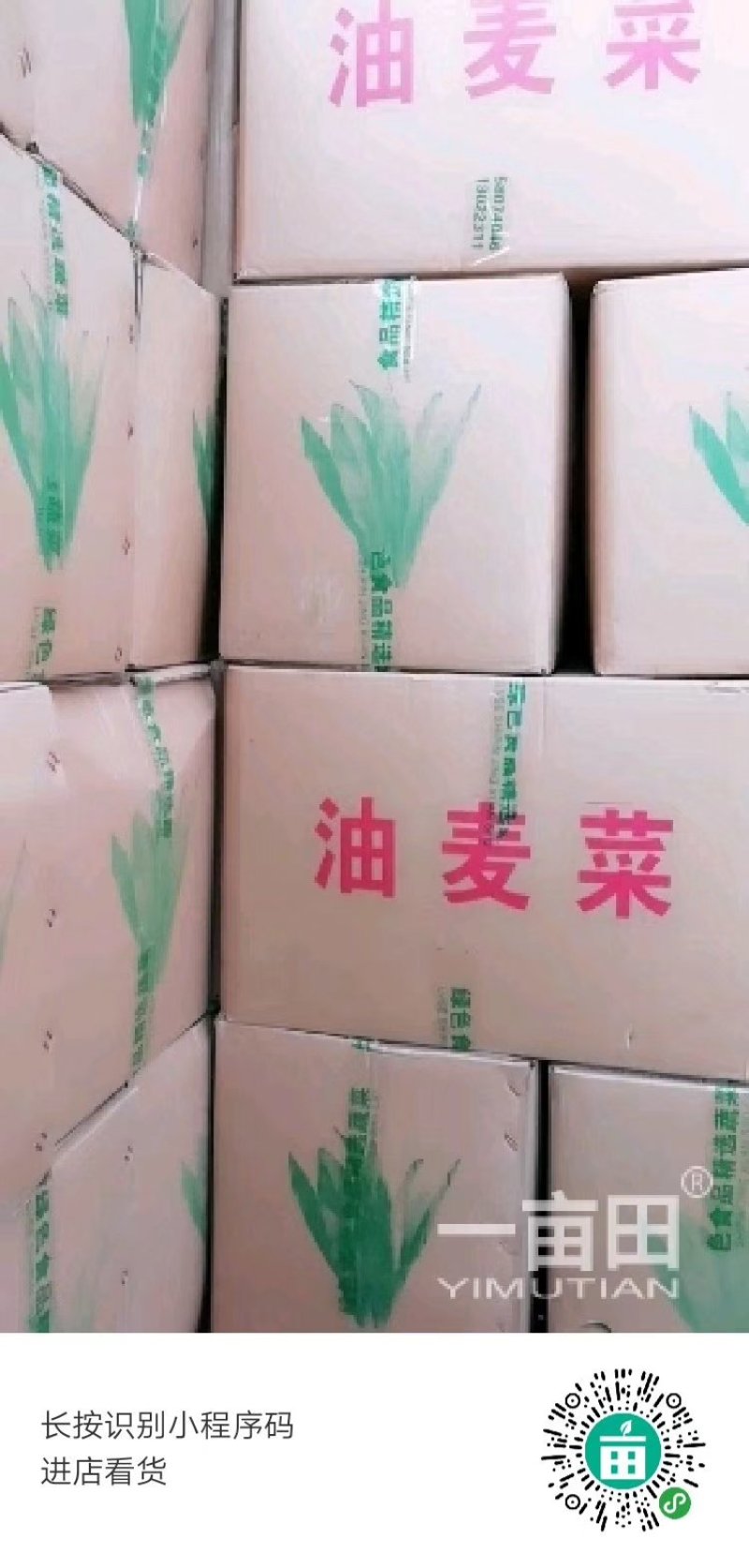 大量蔬菜掉价了