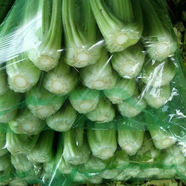 大量蔬菜掉价了