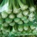 大量蔬菜掉价了