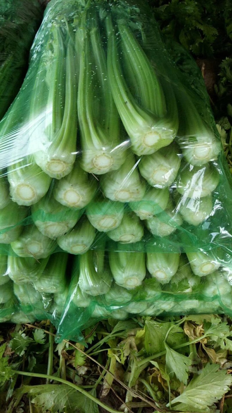 大量蔬菜掉价了