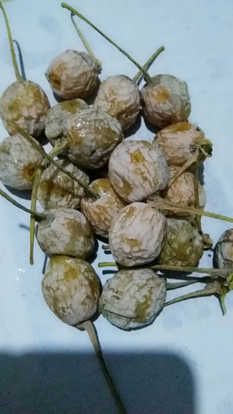 银杏果，白果