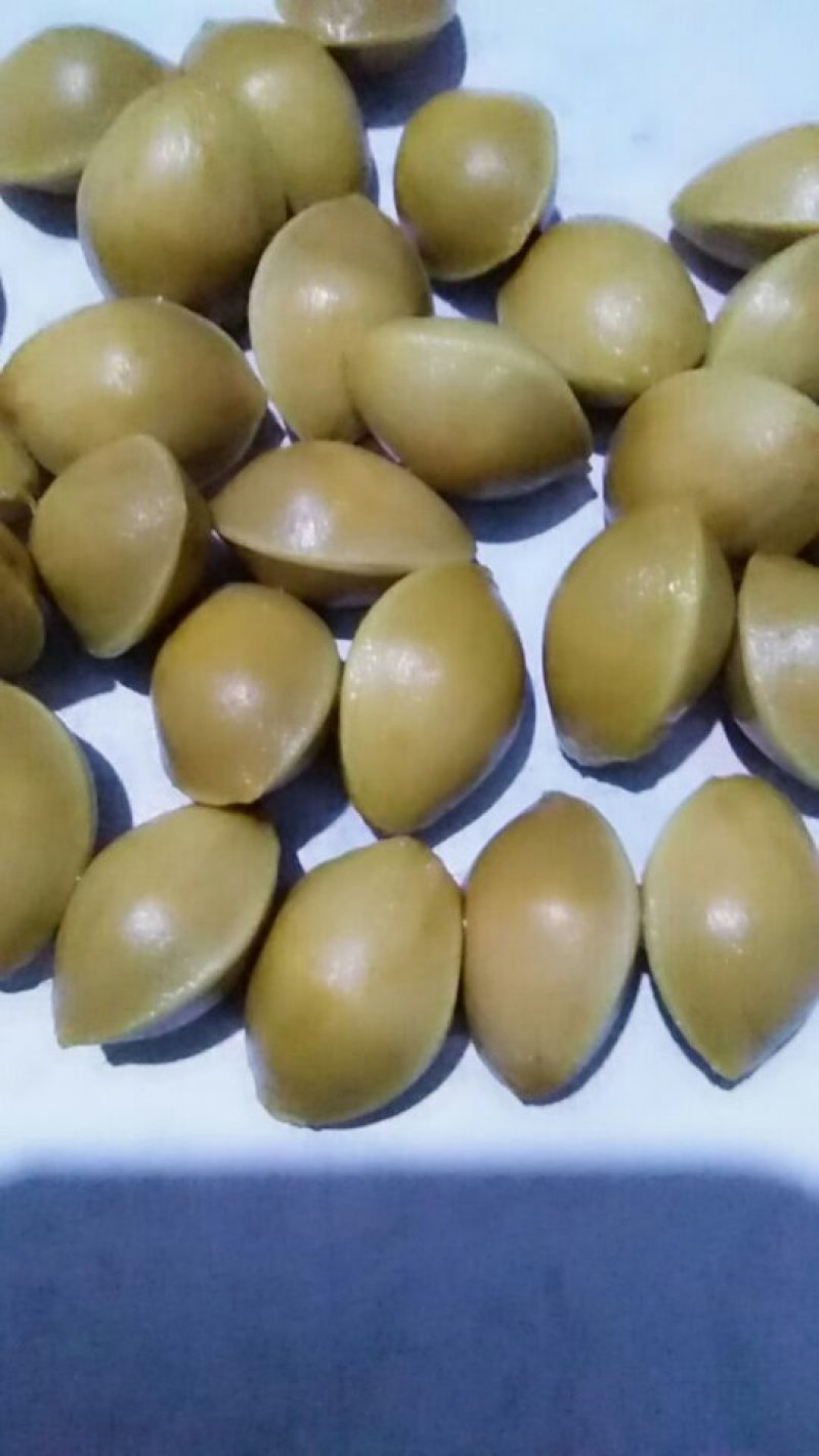 银杏果，白果