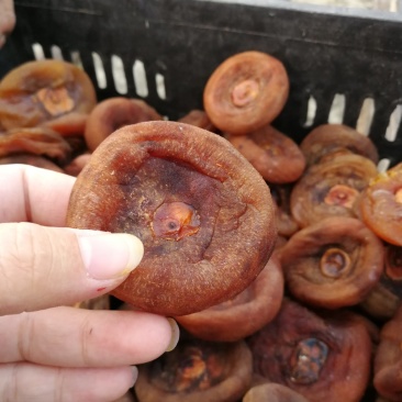 挑选出来的次品，尾货圆柿饼烂柿饼，特价出