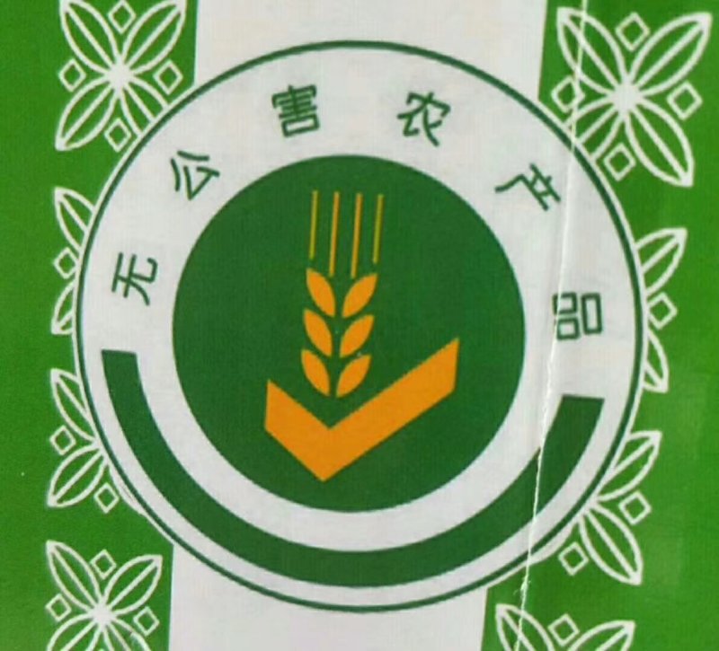 黄韭盆景2019年新韭菜根