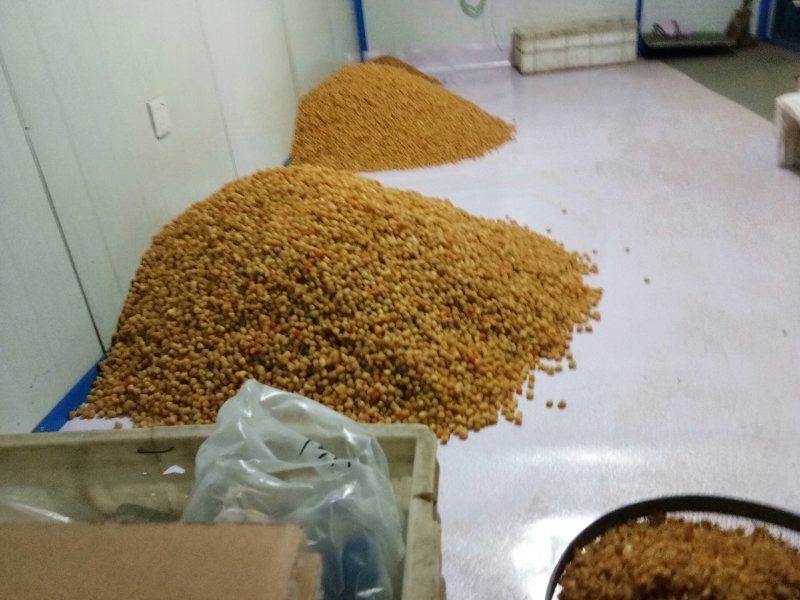 扇贝住，300多粒500多粒800-1000粒等规格。